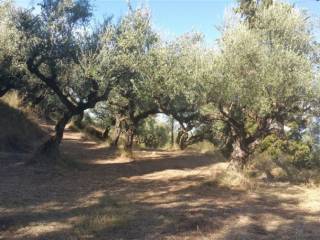 Οικόπεδο με θέα θάλασσα - Land with sea view