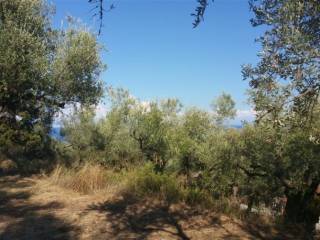 Οικόπεδο με θέα θάλασσα - Land with sea view