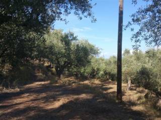 Οικόπεδο με θέα θάλασσα - Land with sea view