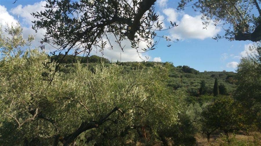 Οικόπεδο με θέα θάλασσα - Land with sea view