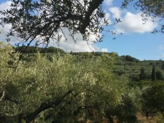 Οικόπεδο με θέα θάλασσα - Land with sea view