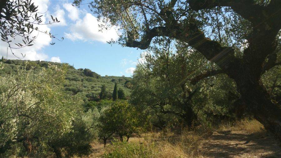 Οικόπεδο με θέα θάλασσα - Land with sea view