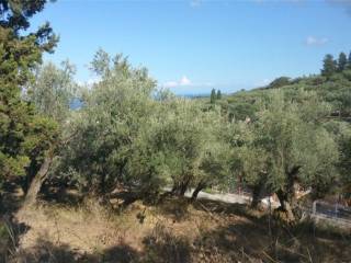 Οικόπεδο με θέα θάλασσα - Land with sea view