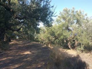 Οικόπεδο με θέα θάλασσα - Land with sea view