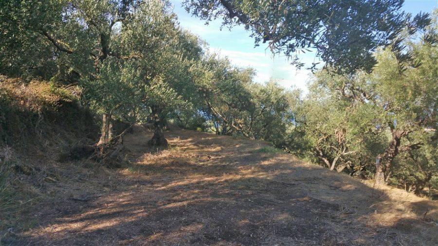 Οικόπεδο με θέα θάλασσα - Land with sea view