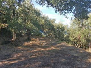 Οικόπεδο με θέα θάλασσα - Land with sea view