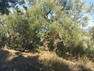 Οικόπεδο με θέα θάλασσα - Land with sea view