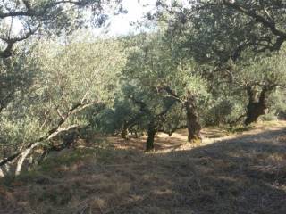 Οικόπεδο με θέα θάλασσα - Land with sea view