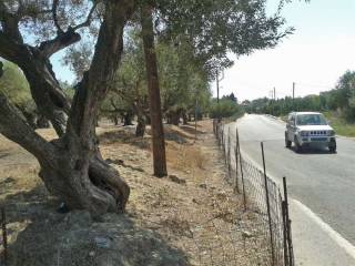 frontage of the land - πρόσοψη οικοπέδου