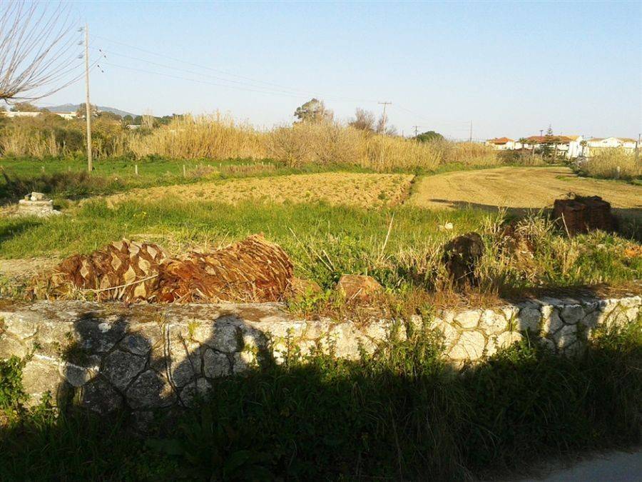 οικόπεδο - land