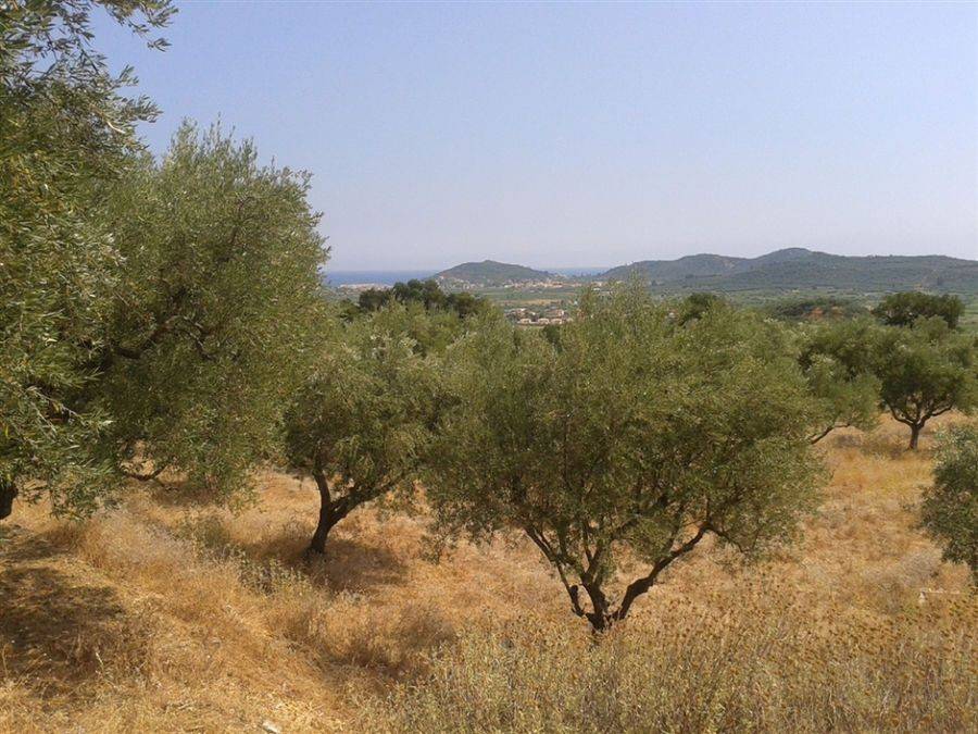 land - οικόπεδο 