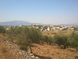 ΘΕΑ ΒΟΡΕΙΟΔΥΤΙΚΑ