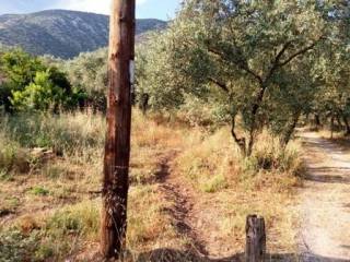 Κεντρικό σημείο κτήματος