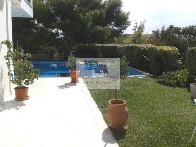 VIEW OF THE SWIMMING POOL - GARDEN