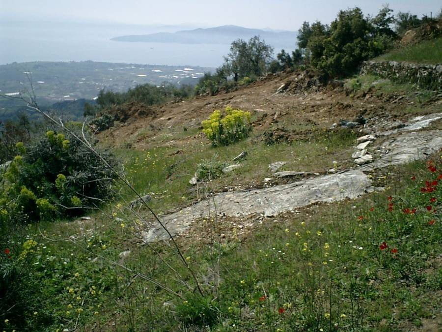 Οικόπεδο