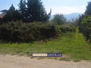 ⟹ ΣΥΝΤΕΛΕΣΤΗΣ ΔΟΜΗΣΗΣ 0,6  ⟸