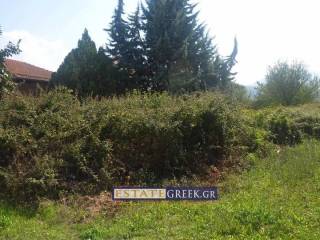 ⟹ ΣΥΝΤΕΛΕΣΤΗΣ ΔΟΜΗΣΗΣ 0,6  ⟸