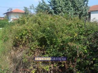 ⟹ ΣΥΝΤΕΛΕΣΤΗΣ ΔΟΜΗΣΗΣ 0,6  ⟸