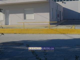 Industrial area in Chrysoupoli, Kavala (code 4554)