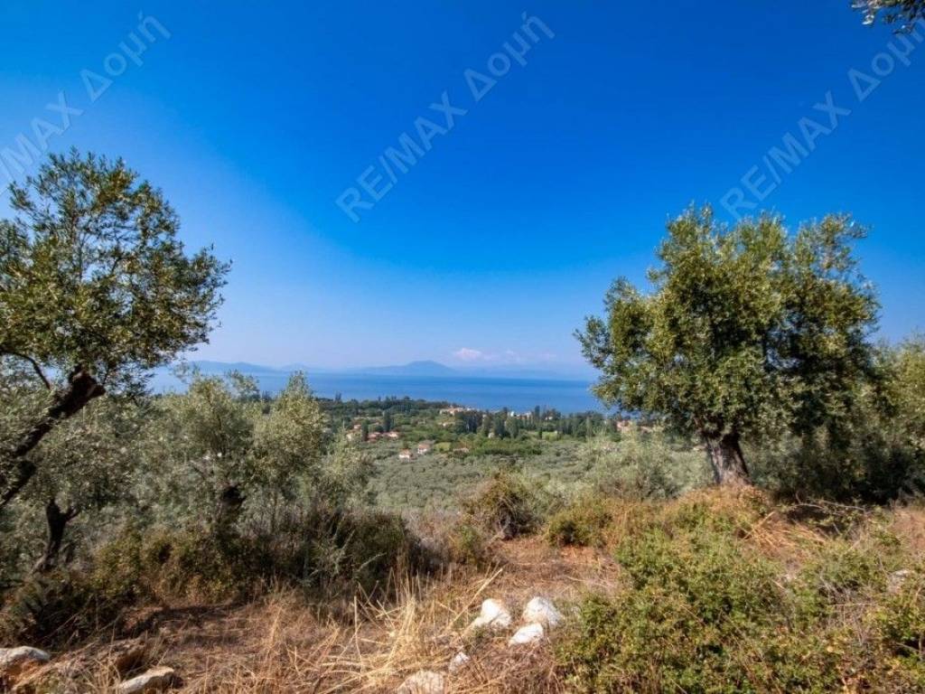 Αγροτεμάχιο | 3682τ.μ. | 36000 €