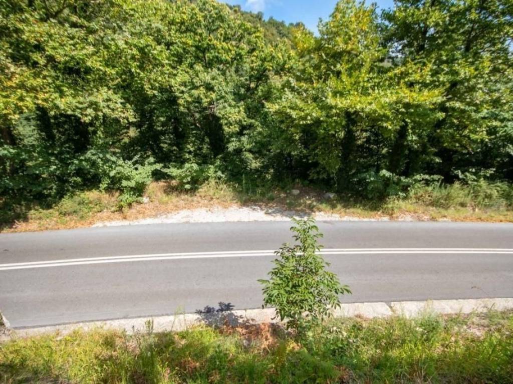 Αγροτεμάχιο | 4005τ.μ. | 29000 €