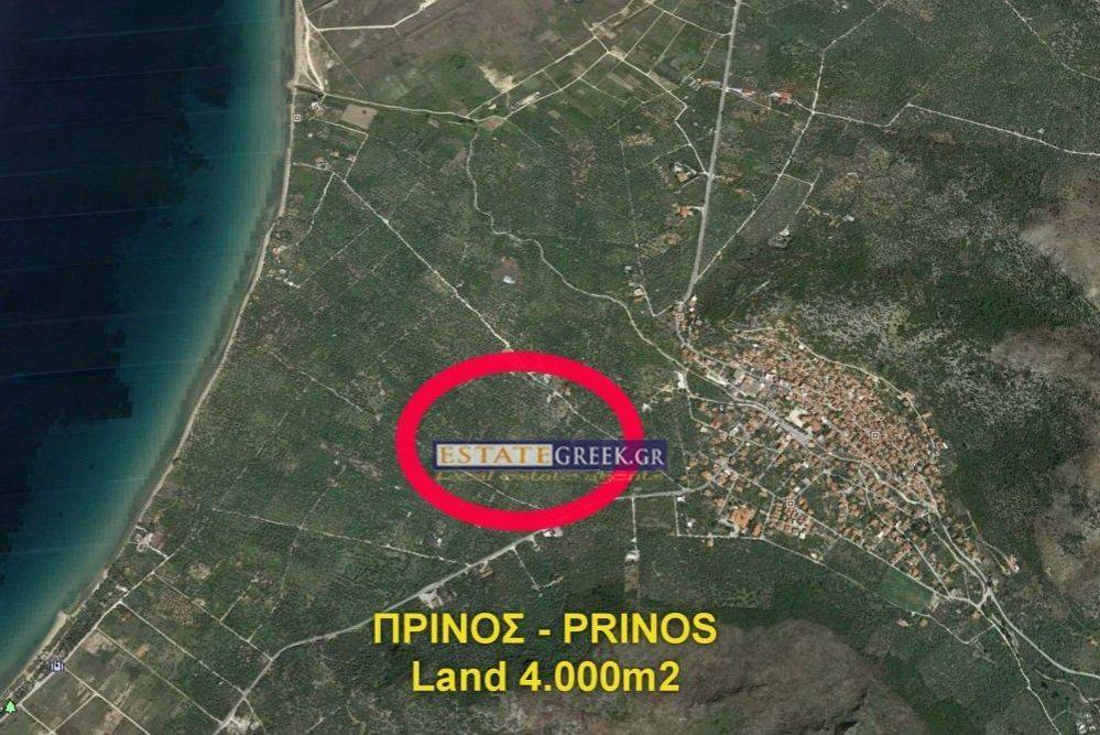 ★ With 77 productive olives ★ 800m from the sea ★