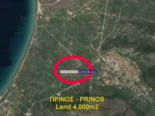 ★ With 77 productive olives ★ 800m from the sea ★