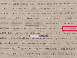 ★ With 77 productive olives ★ 800m from the sea ★