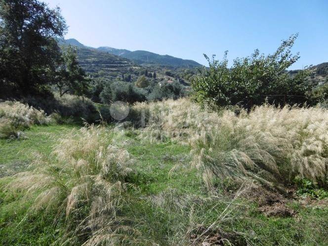 οικόπεδο