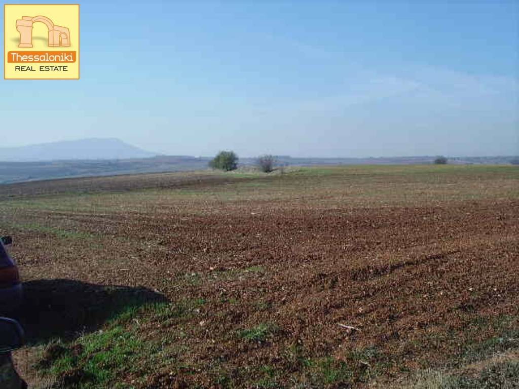 Άσσηρος, Αγροτεμάχιο, 23.250 τ.μ.