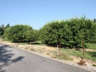 Αγροτεμάχιο