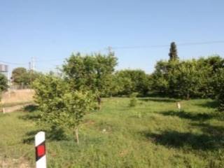 Αγροτεμάχιο