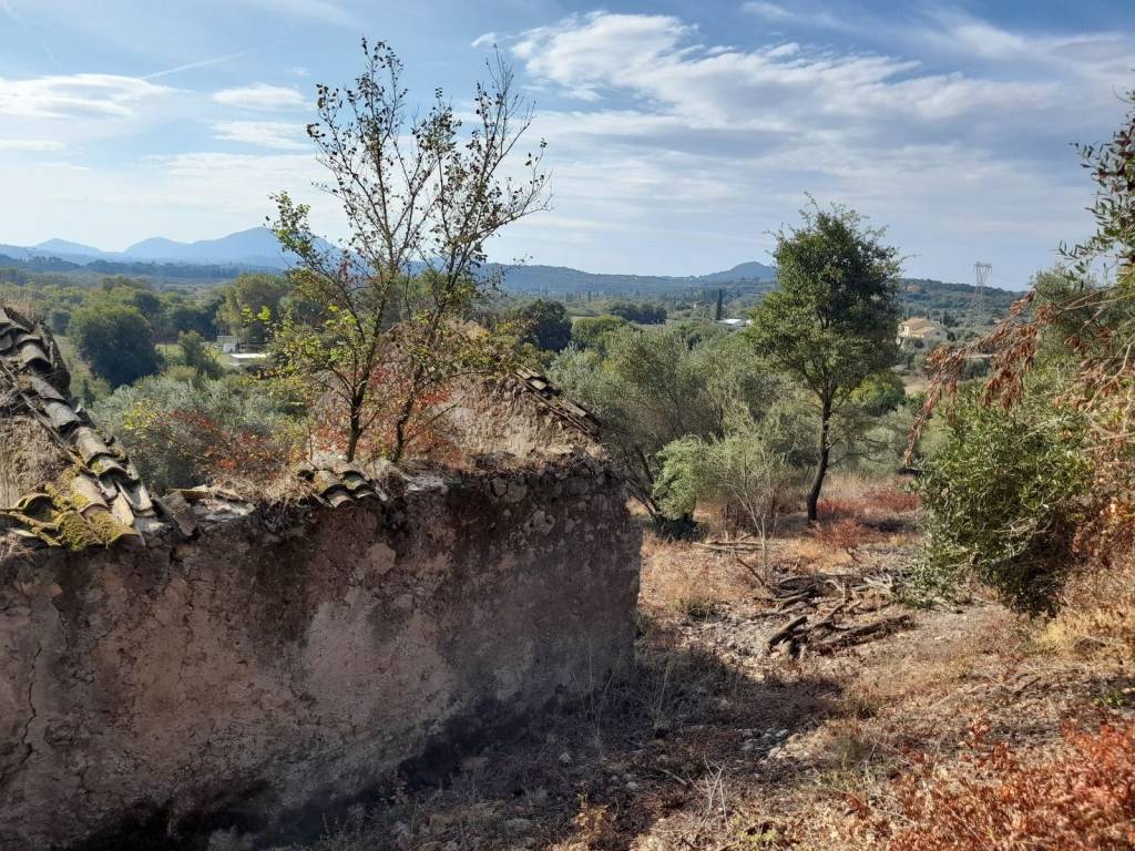 οικόπεδο με ελαιοτριβείο