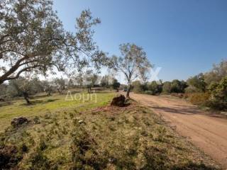 ΑΓΡΟΤΕΜΑΧΙΟ