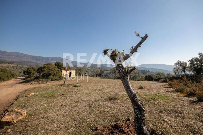 ΑΓΡΟΤΕΜΆΧΙΟ