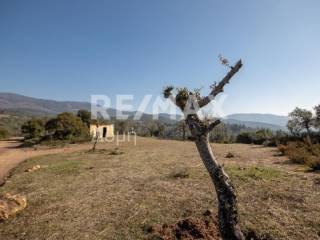 ΑΓΡΟΤΕΜΆΧΙΟ