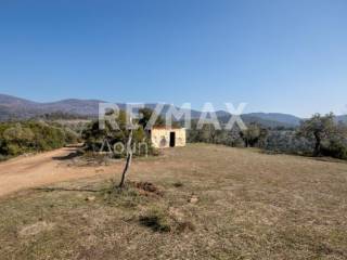 ΚΡΕΑΤΑ ΨΥΓΕΙΟ