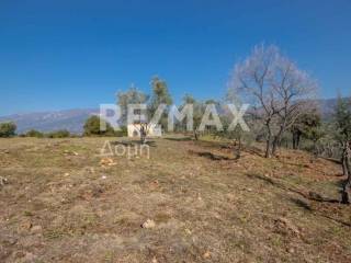 ΑΓΡΟΤΕΜΑΧΙΟ