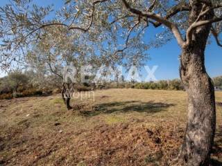 ΑΓΡΟΤΕΜΑΧΙΟ