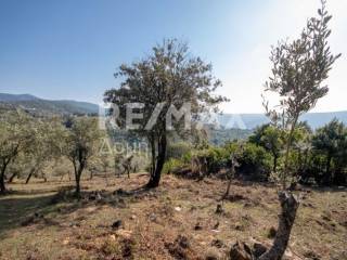 ΑΓΡΟΤΕΜΑΧΙΟ