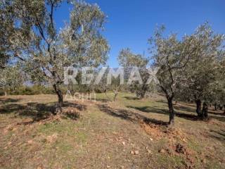 ΑΓΡΟΤΕΜΑΧΙΟ