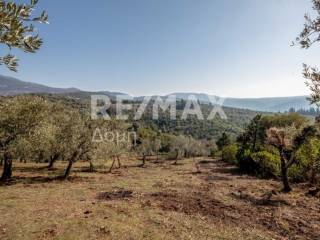 ΑΓΡΟΤΕΜΑΧΙΟ