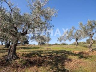 ΑΓΡΟΤΕΜΑΧΙΟ