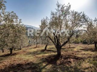 ΑΓΡΟΤΕΜΑΧΙΟ