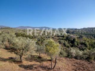 ΑΓΡΟΤΕΜΑΧΙΟ