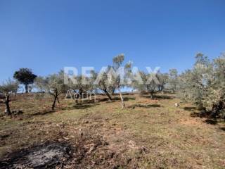 ΑΓΡΟΤΕΜΑΧΙΟ