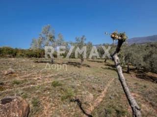 ΑΓΡΟΤΕΜΑΧΙΟ