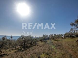 ΑΓΡΟΤΕΜΑΧΙΟ