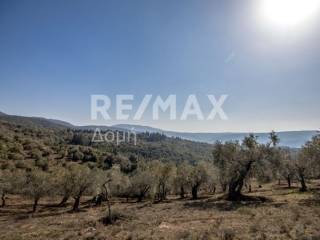 ΑΓΡΟΤΕΜΑΧΙΟ