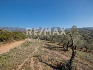 ΑΓΡΟΤΕΜΑΧΙΟ